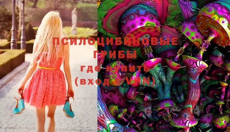 Галлюциногенные грибы Magic Shrooms  Кондрово 